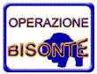 SFIDA - Sindacato Famiglie Italiane Diverse Abilit�